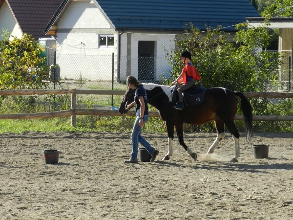 Babie Lato 2015